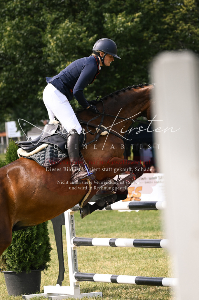 DSC_0792 | Pferde- und Turnierfotografie in Westsachsen. Pferdeportraits, Auftragszeichnungen und intuitive Kunst.