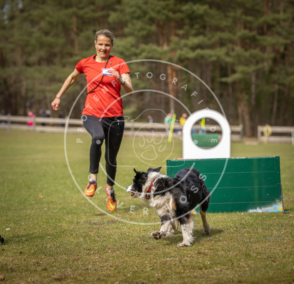 Pfotenfotografie_DV3A8692 | Hundefotografie, Tierfotograf, Pfotenfotografie, Fotoshooting Hund, Hunde Portrait, Hundesport, Hundeportraits, Heideshooting, Hunde, Sportfotograf, Hundefotograf, Turnierhundsport, THS,  - Realisiert mit Pictrs.com