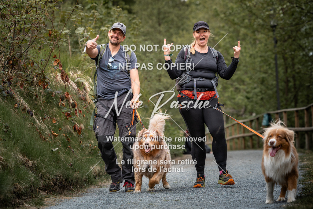 nelerasche_SaAbends_136 | nelerasche