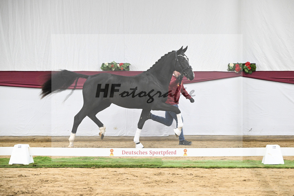 Kat-Nr. 59 Bloomberg x Gribaldi_T. _Stefan Schumacher_47252191 | hf-fotografie - Realisiert mit Pictrs.com