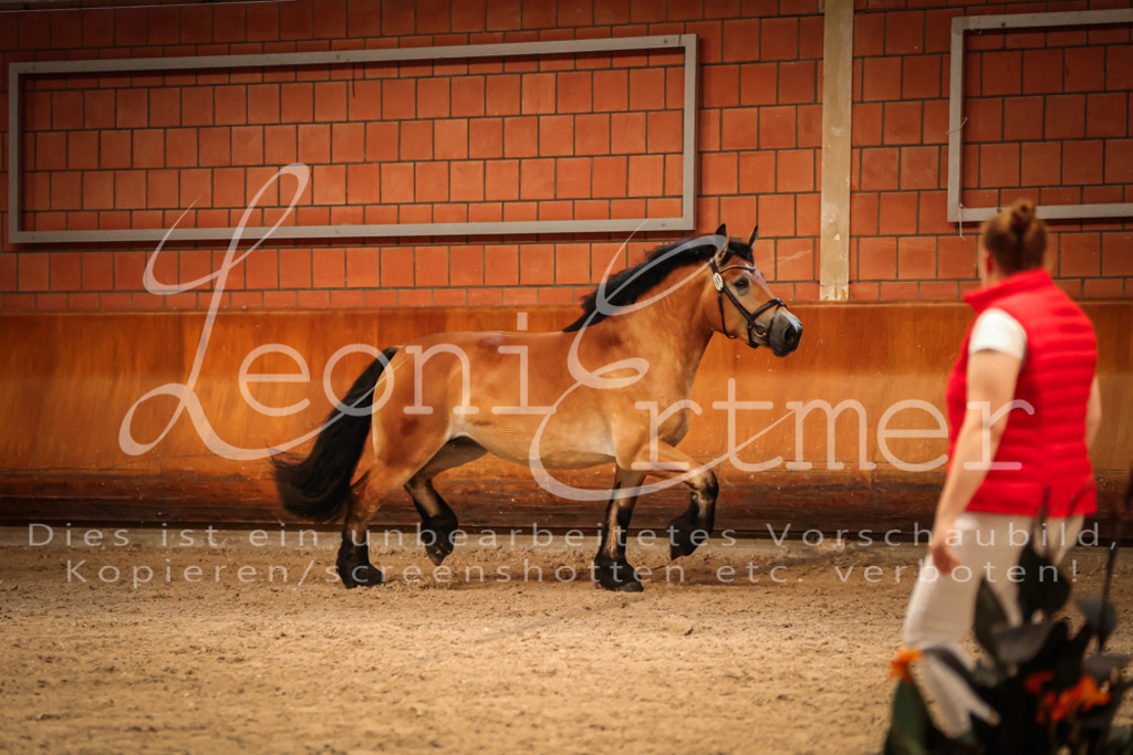 SaFL00192 | Leoni Ertmer Photography - Realisiert mit Pictrs.com