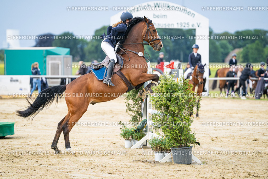 DSC03890 | Pferdegrafie