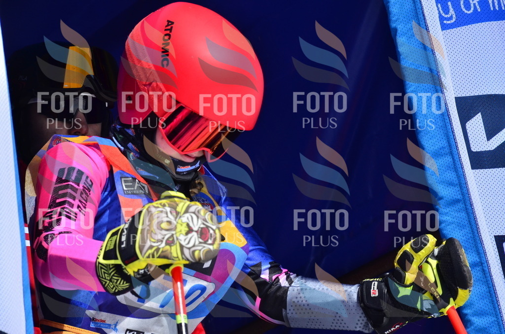 _ELE1135 | holidayphoto