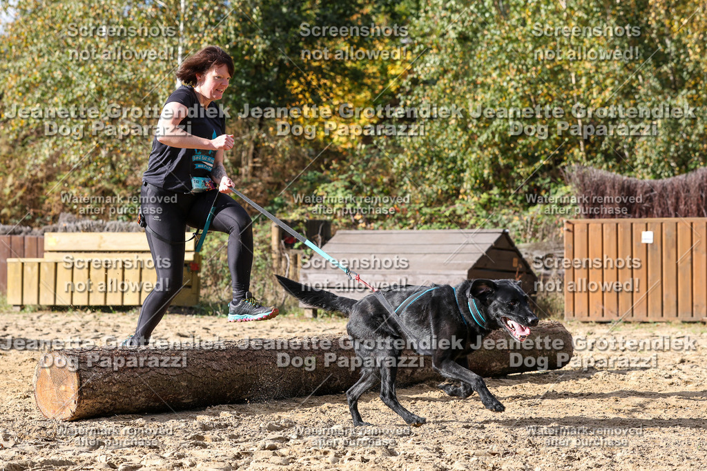 Dog Paparazzi - Strongdog 10-25-5080 | Dog Paparazzi Jeanette Grottendiek Fotografie & Videografie - Realisiert mit Pictrs.com