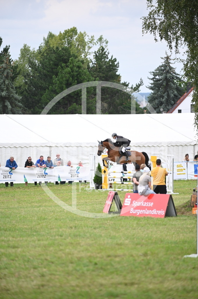 DSC_1375 | sattelsport - Realisiert mit Pictrs.com