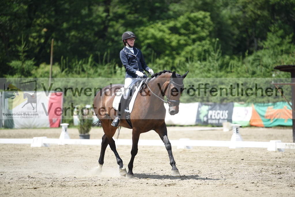 DSC_9472 | equestrian-live-com