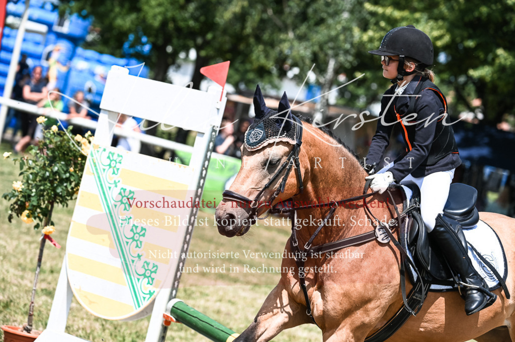 DSC_9714 | Pferde- und Turnierfotografie in Westsachsen. Pferdeportraits, Auftragszeichnungen und intuitive Kunst.