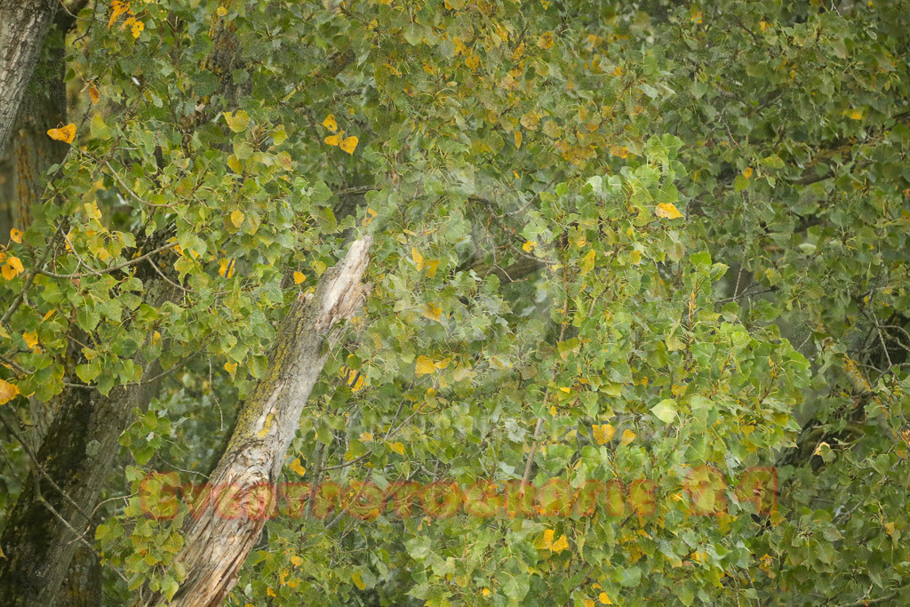 231015_0925_EX2_8892 | Eventfotografie 24
Sport- und Eventfotografie