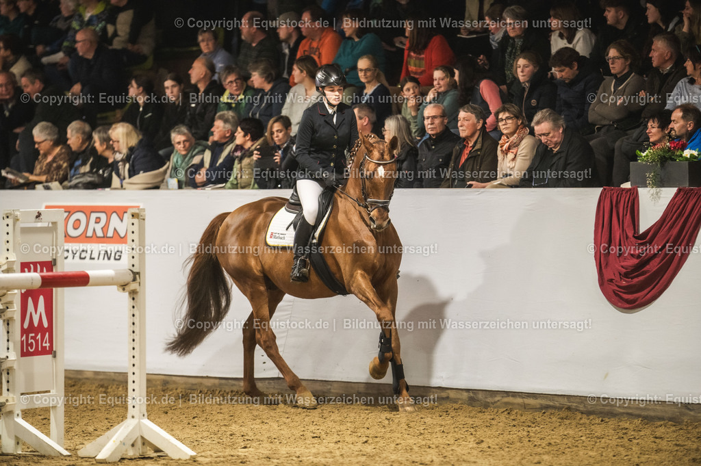 20240302_Hengstvorstellung_Marbach_TOMsPiC_1349 | equistock