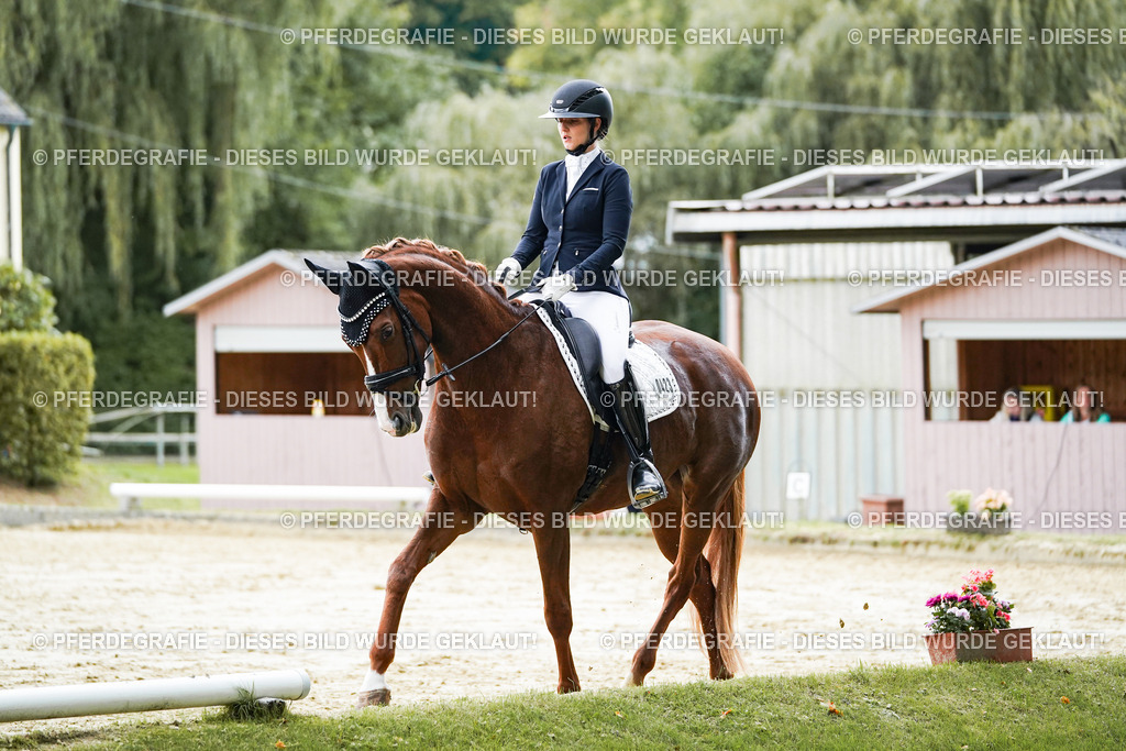 DSC06926 | Pferdegrafie