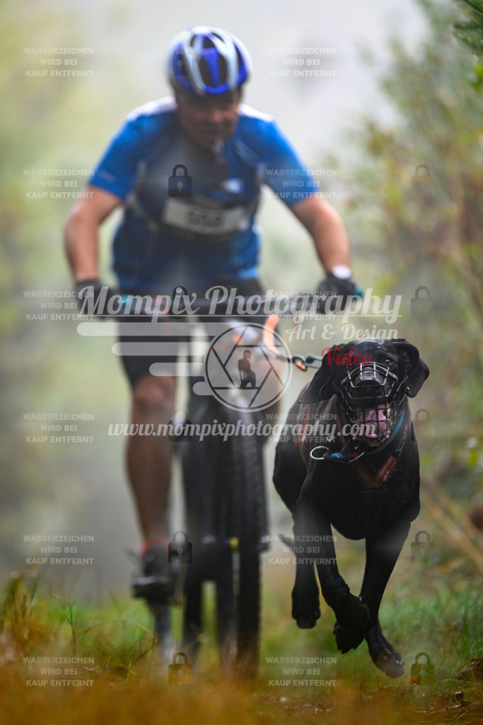 MompixPhotography_20TSB_E4_Bike-52 | PayLife