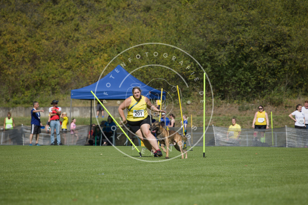 0L8A5788 | Hundefotografie, Tierfotograf, Pfotenfotografie, Fotoshooting Hund, Hunde Portrait, Hundesport, Hundeportraits, Heideshooting, Hunde, Sportfotograf, Hundefotograf, Turnierhundsport, THS,  - Realisiert mit Pictrs.com