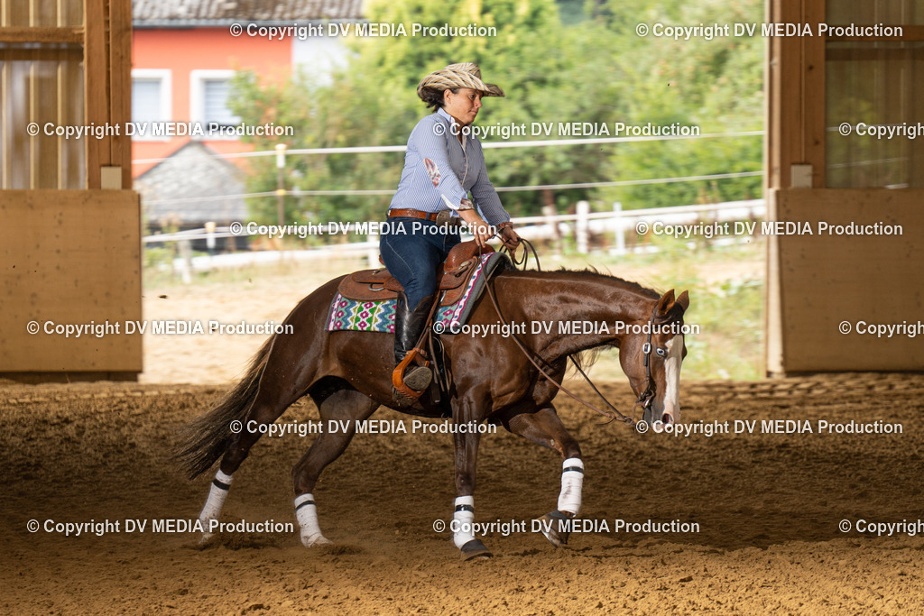 LAU01437 | dv-media-shop - Realisiert mit Pictrs.com