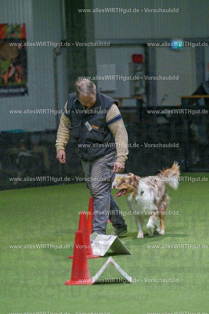 7R505044 | Professionelle Tierfotografie in Mönchengladbach von Daniel Wirth (allesWIRTHgut). Liebevolle & natürliche Bilder von Hunden & Katzen für unvergessliche Erinnerungen.