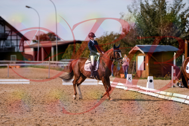 2026_10_03_Siefer-Hof_133157_Z81_87670908 | Professionelle Reitsport-, Turnier- und Eventfotografie von Robert Broda. Galerien mit ausgewählten und bearbeiteten Bildern direkt online ansehen und bestellen.