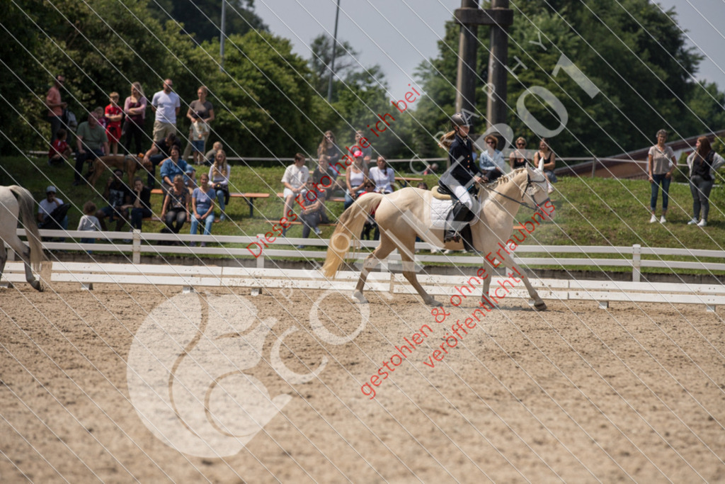 IMG_3797 | Sport-, Event- und Tierfotos in Profiqualität. Einfach auswählen, bestellen und herunterladen. Dein Moment – perfekt festgehalten.