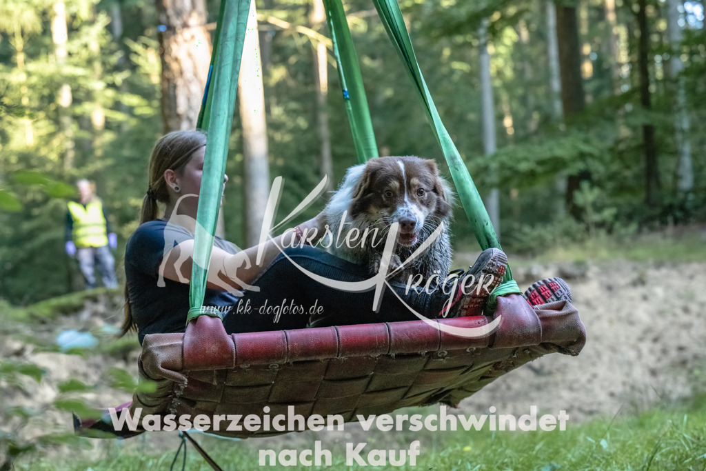 0914_ZZ90702-Bearbeitet | kk-dogfotos