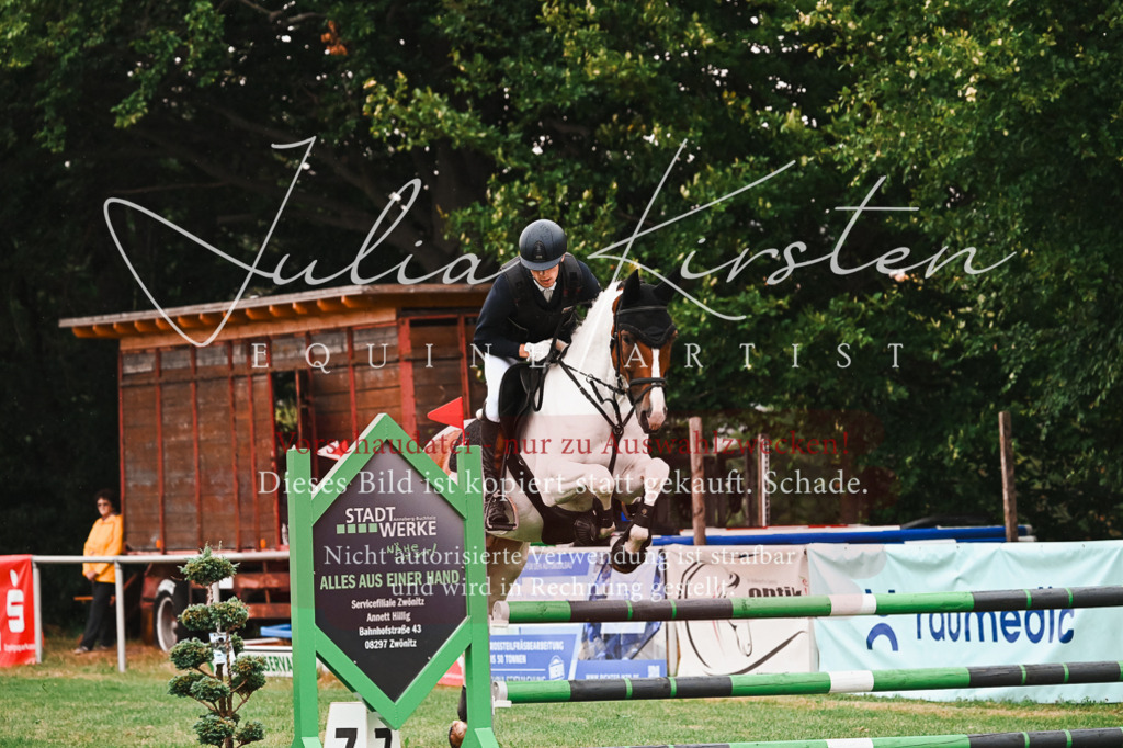 DSC_6508 | Pferde- und Turnierfotografie in Westsachsen. Pferdeportraits, Auftragszeichnungen und intuitive Kunst.
