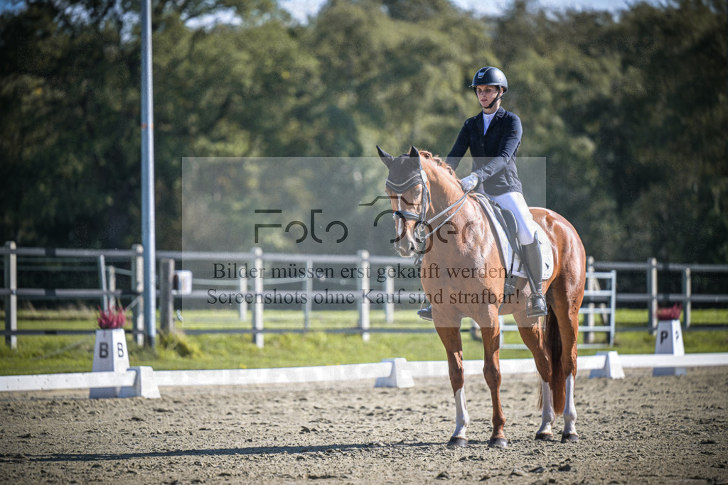 DOS_2621 | Entdecke hochwertige Reitturnierfotos von Foto Oger. Professionell, emotional und authentisch – jetzt Lieblingsmomente im Shop bestellen.Deutschlandweite Turnierfotografie. - Realisiert mit Pictrs.com