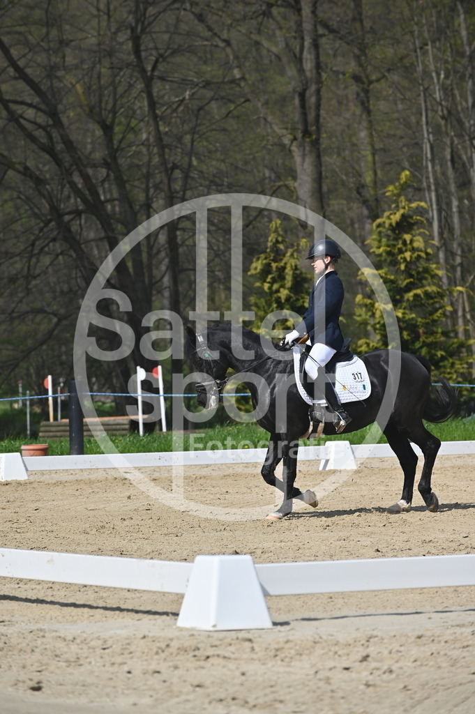 DSC_1163 | sattelsport - Realisiert mit Pictrs.com