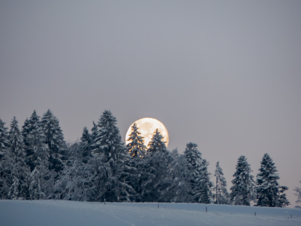 PSX_20230207_233617 | mtkfoto_ - Realisiert mit Pictrs.com