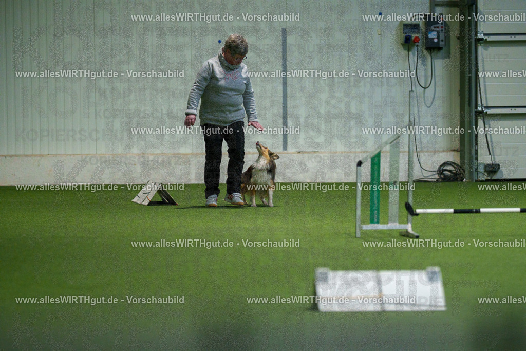 7R504863 | Professionelle Tierfotografie in Mönchengladbach von Daniel Wirth (allesWIRTHgut). Liebevolle & natürliche Bilder von Hunden & Katzen für unvergessliche Erinnerungen.