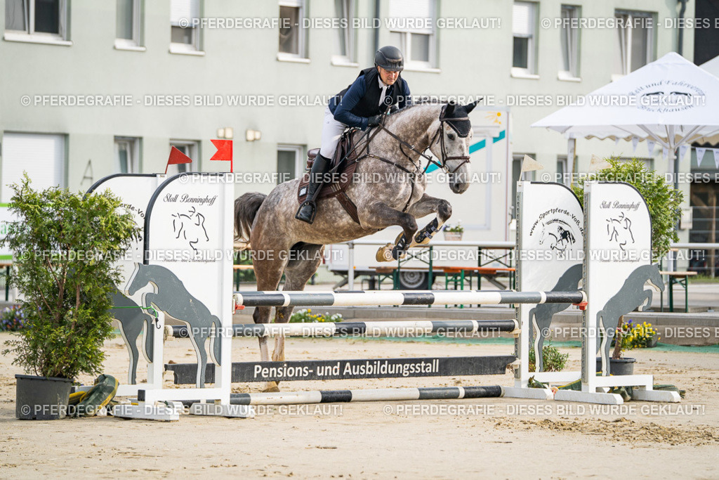 DSC08137 | Pferdegrafie