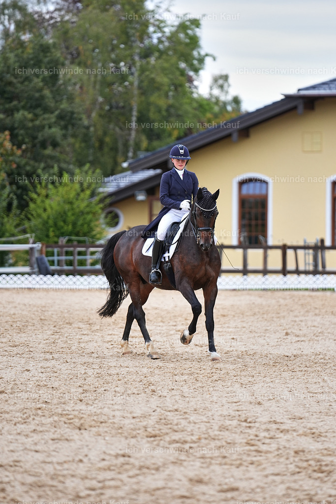 8_2-056-DRESSUR S_  -Marixx-4598 | working equitationturnier fotograf videograf stoibphotography marixx film working equitation deutschland reitsport turnierfotografie eventfotografie equestrian events