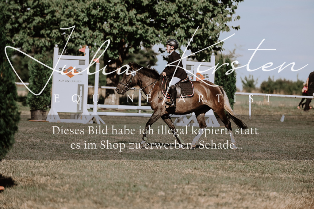 DSC_9454 | Pferde- und Turnierfotografie in Westsachsen. Pferdeportraits, Auftragszeichnungen und intuitive Kunst.