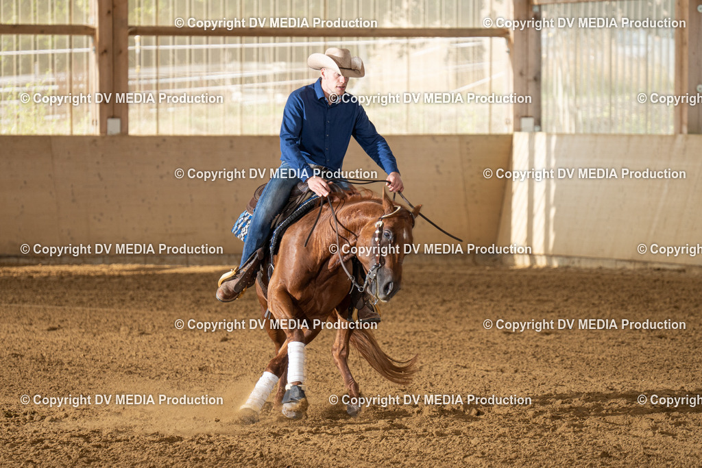 LAU01596 | dv-media-shop - Realisiert mit Pictrs.com