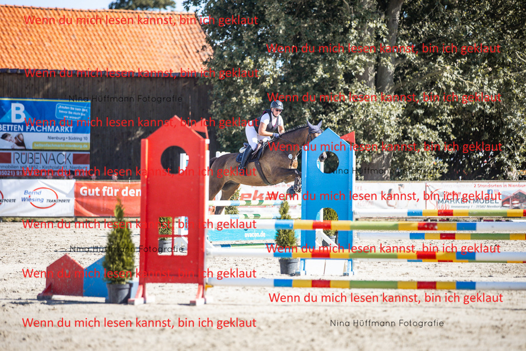BK1A7242 | Turnierbilder Turnierfotos Nina Hüffmann Turnierfotografie Pferdefotografie Tierzeichnung Haustierzeichnung Pferdezeichnung Hundezeichnung Videograf  - Realisiert mit Pictrs.com