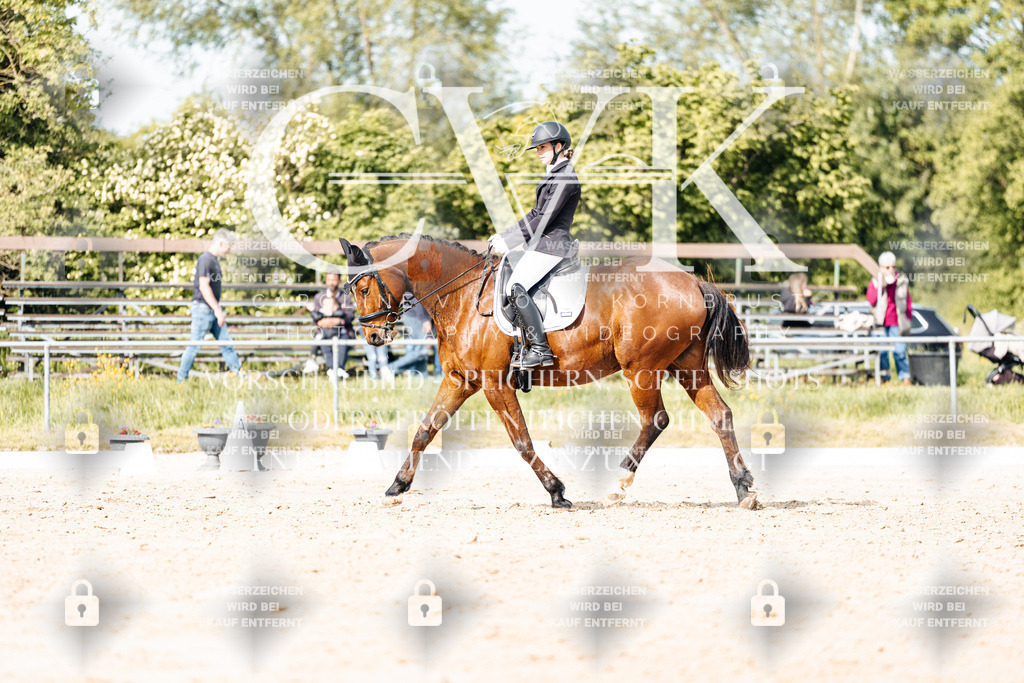 CK900447 | Turnierfotografie Pferdefotografie Trier Rheinland-Pfalz Pferdesport Reitsport Tierfotografie Sportfotografie Pferdevideo Pferdevideografie Equestrianvideography equestrianphotography  - Realisiert mit Pictrs.com