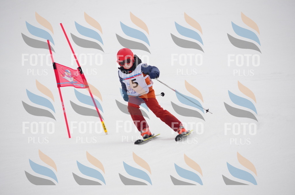 C0221 | holidayphoto