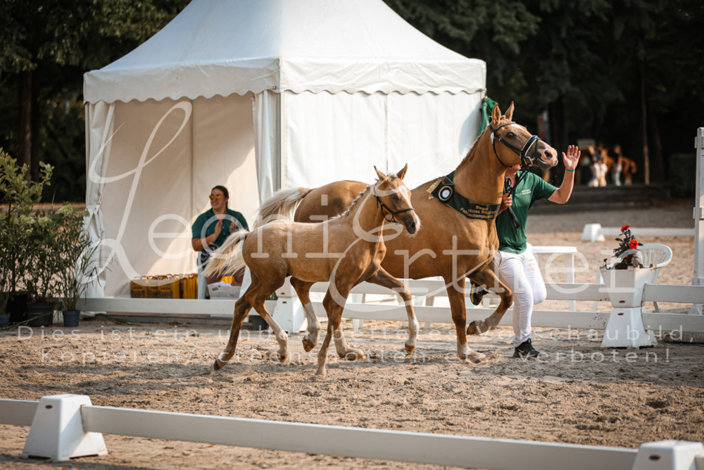 11.DoRP00204 | Leoni Ertmer Photography - Realisiert mit Pictrs.com