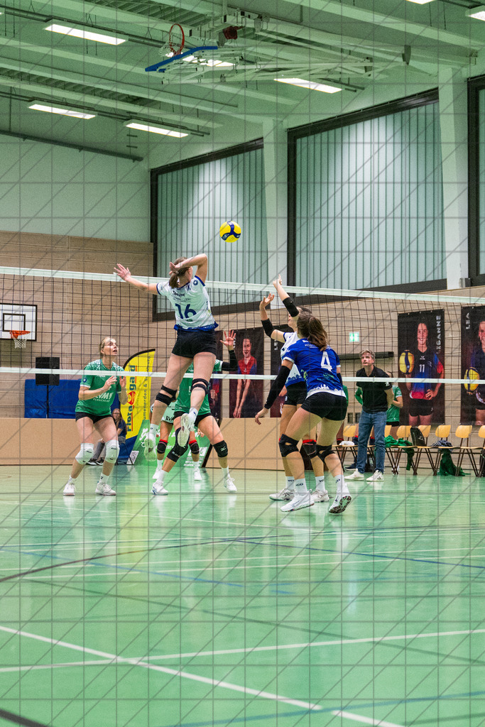 2. VBLF Nord 25/26 | SPT 02 (#4011) | VC Osnabrück vs. USC Münster II | //  27.09.25: 2. VBLF Nord 25/26 | SPT 02 (#4011) | VC Osnabrück vs. USC Münster II / Osnabrück / Deutschland  //   CREDIT:www.bullenfotos.de, Martin König, Hörner Weg 40, D-49078 Osnabrück, +4917663732967 // Nutzung und Weitergabe nur zu den vereinbarten Zwecken. Presseanfragen an Ersteller. Alle Rechte beim Ersteller. Honorierung nach MFM. - Realisiert mit Pictrs.com