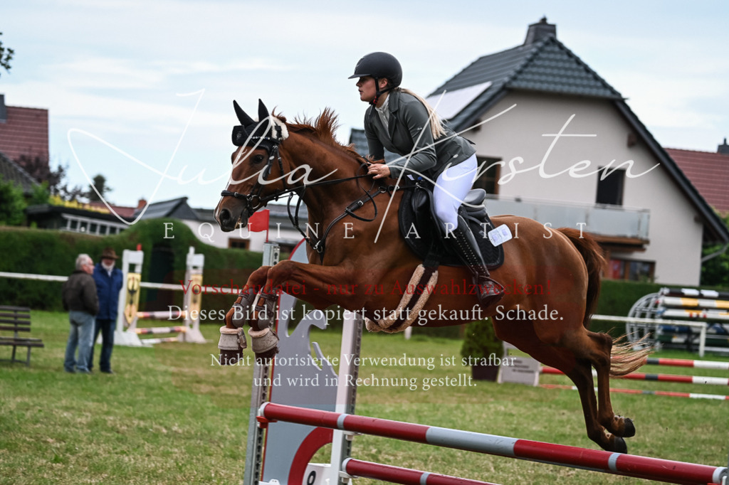 DSC_8457 | Pferde- und Turnierfotografie in Westsachsen. Pferdeportraits, Auftragszeichnungen und intuitive Kunst.