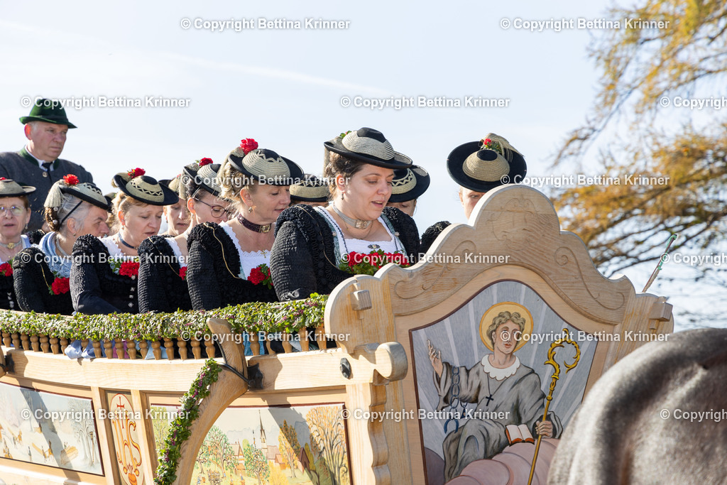 LBT24-1317 | foto-bettina-krinner - Realisiert mit Pictrs.com