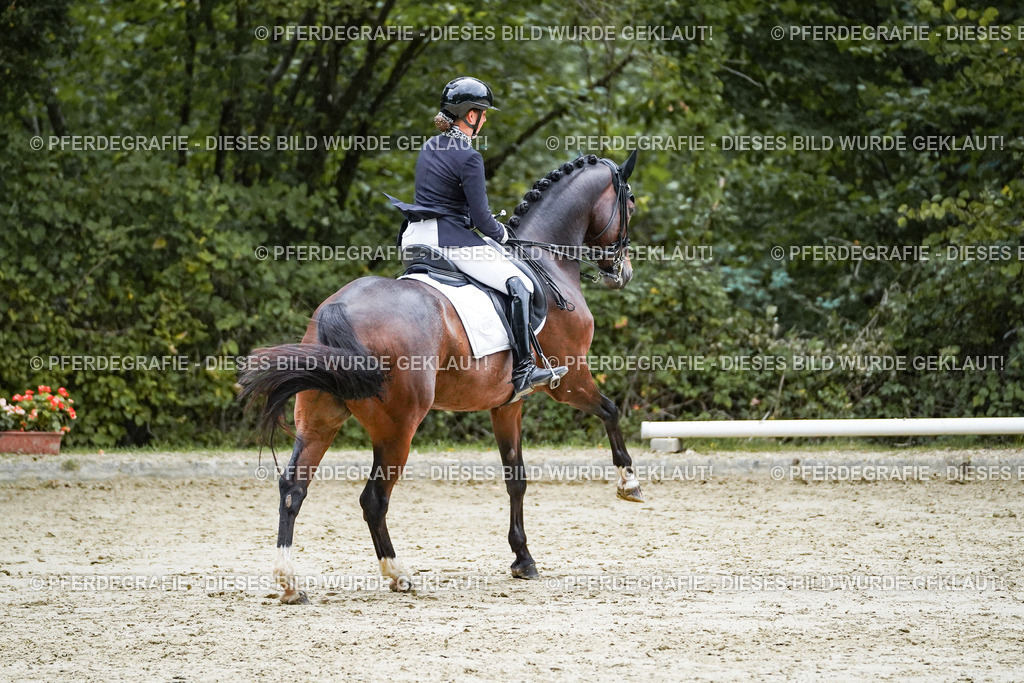 DSC00316 | Pferdegrafie