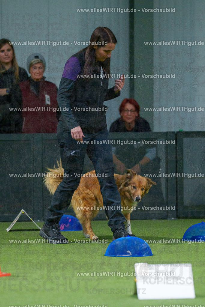 7R507717 | Professionelle Tierfotografie in Mönchengladbach von Daniel Wirth (allesWIRTHgut). Liebevolle & natürliche Bilder von Hunden & Katzen für unvergessliche Erinnerungen.