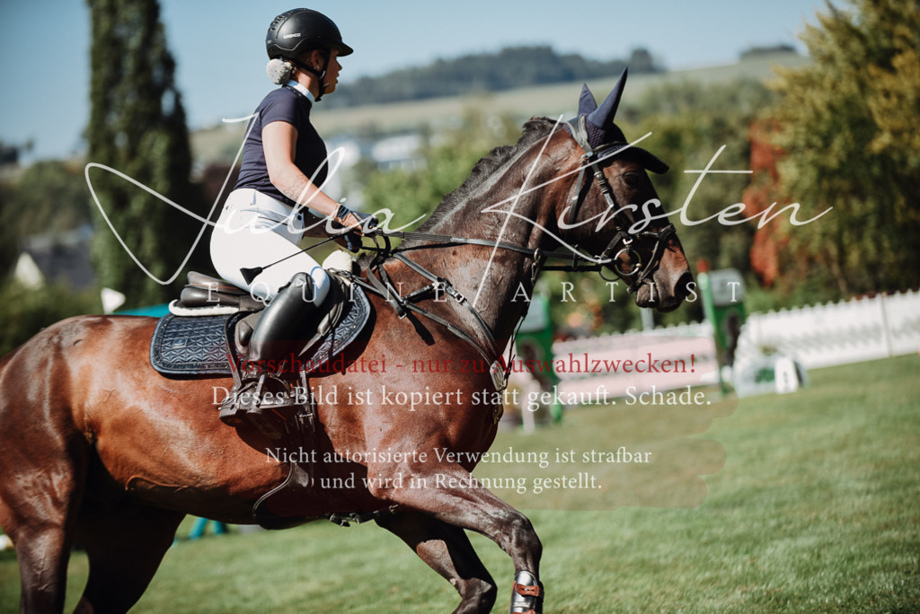 DSC_3280 | Pferde- und Turnierfotografie in Westsachsen. Pferdeportraits, Auftragszeichnungen und intuitive Kunst.