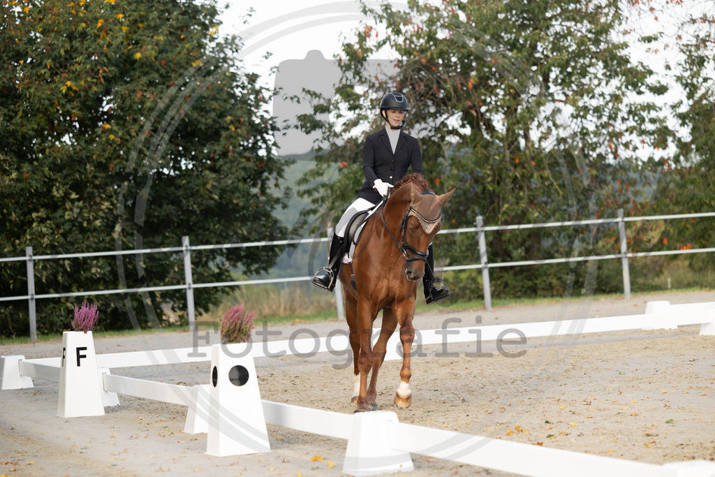 994A0344 | sabrinanicolaifotografie - Realisiert mit Pictrs.com