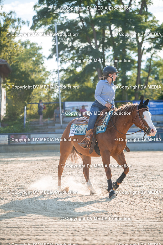 EWP_7116 | dv-media-shop - Realisiert mit Pictrs.com