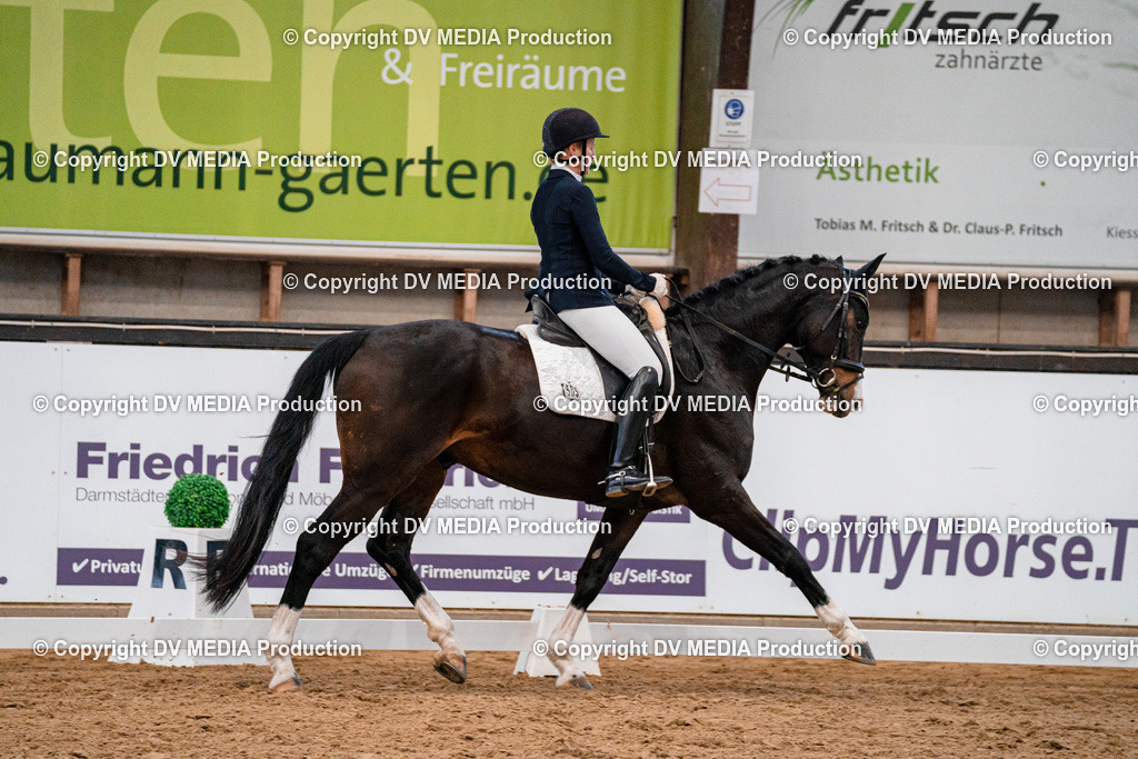 Kranichstein Tag 1-104 | dv-media-shop - Realisiert mit Pictrs.com