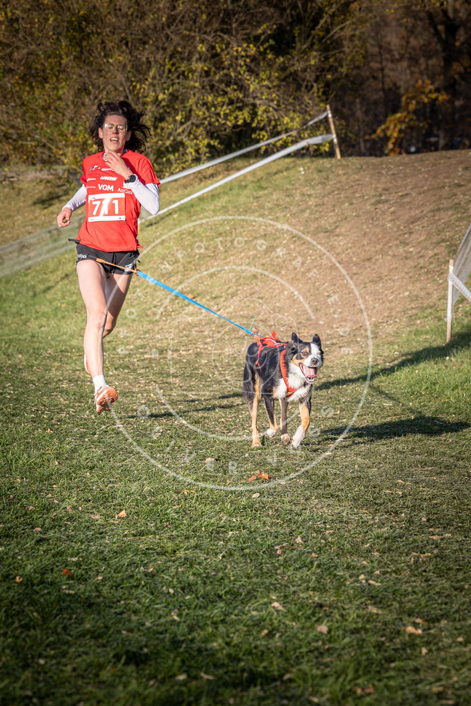 CaniXpix_0L8A9584 | Hundefotografie, Tierfotograf, Pfotenfotografie, Fotoshooting Hund, Hunde Portrait, Hundesport, Hundeportraits, Heideshooting, Hunde, Sportfotograf, Hundefotograf, Turnierhundsport, THS,  - Realisiert mit Pictrs.com