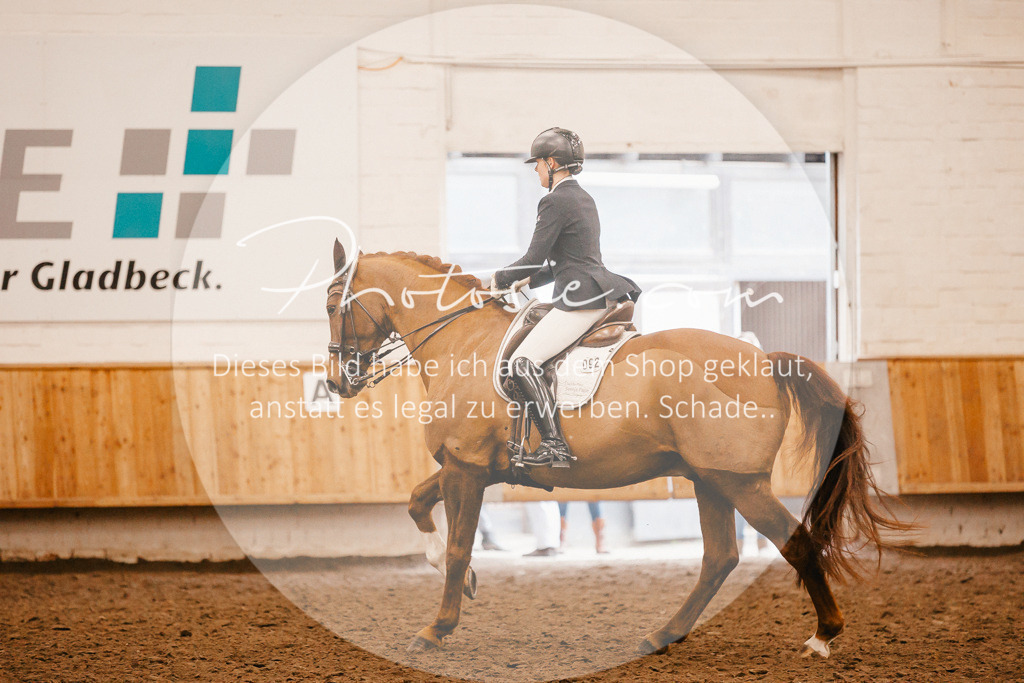 3I6A2954 | Stimmungsvolle Portraits und Reitsportfotografie im Ruhrgebiet und im Münsterland.

Pferdefotografie, Hundefotografie, Tierfotografie, Reportagen, Portraits von Tier und Mensch, Turnierfotografie in Bochum, Recklinghausen, Marl, Haltern am See, Dülmen.. - Realisiert mit Pictrs.com