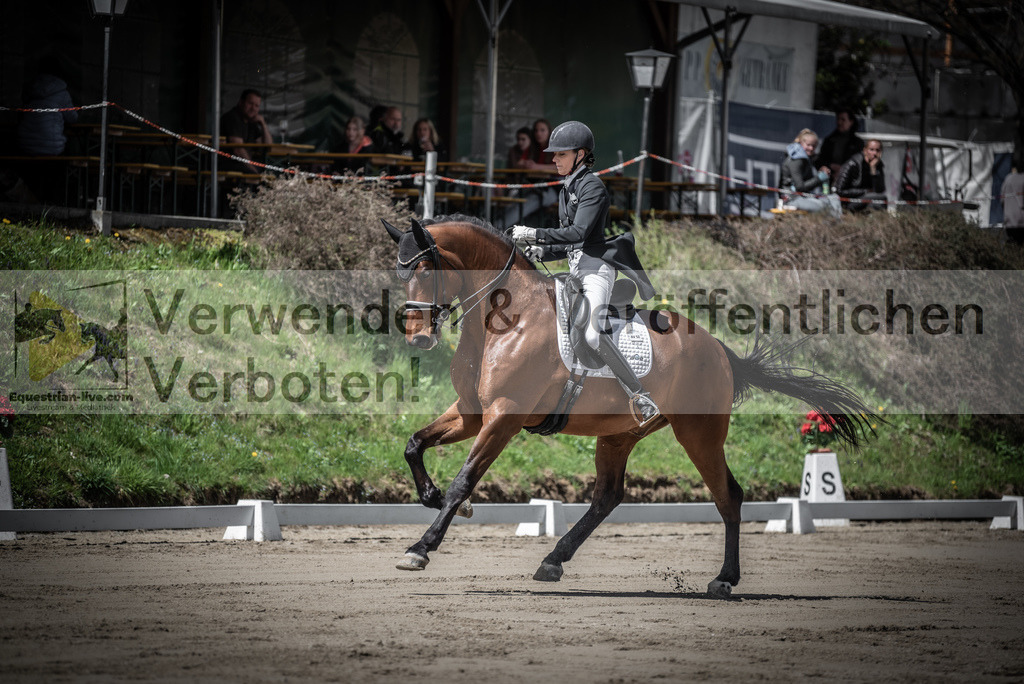 DSC_1875 | equestrian-live-com