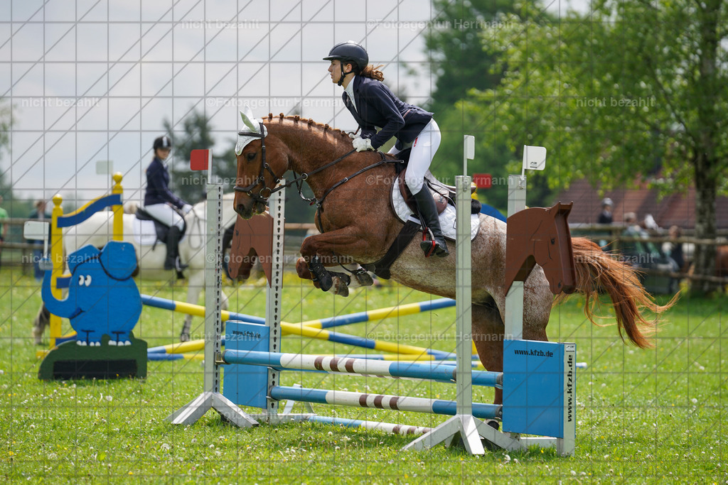 20240509-FAH02364 | Turnierbilder der Turnierfotografen Bayern, Pferdesport Fotografie, Reitsportbilder, Turnier Landberg am Lech, Turnierbilder bayern, Fotoagentur Herrmann