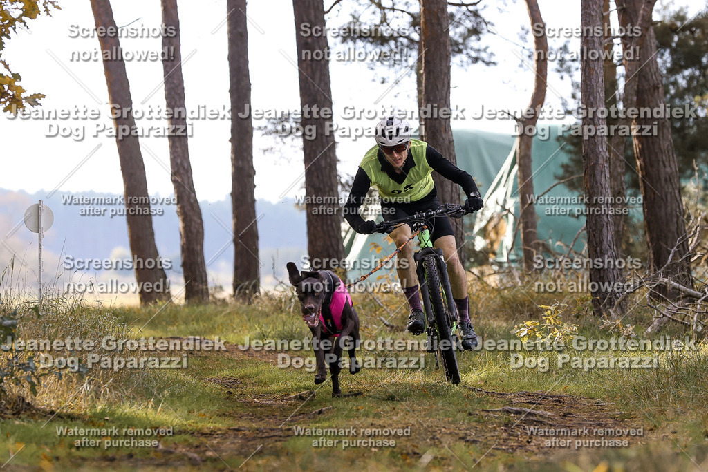 Dog Paparazzi - Elsholz 25 -135 | Dog Paparazzi Jeanette Grottendiek Fotografie & Videografie - Realisiert mit Pictrs.com