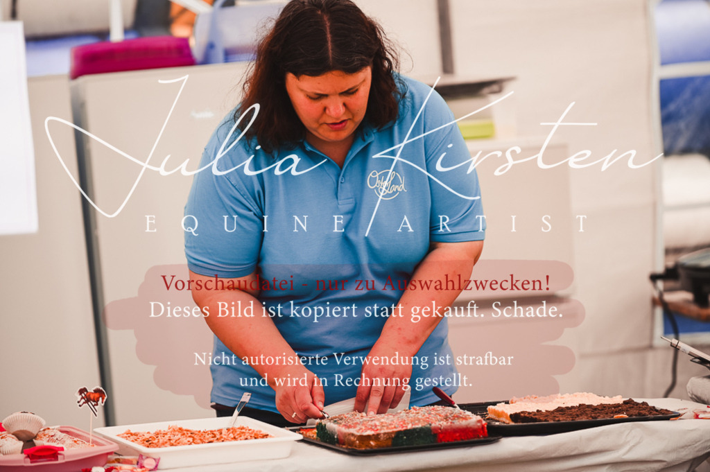DSC_5735 | Pferde- und Turnierfotografie in Westsachsen. Pferdeportraits, Auftragszeichnungen und intuitive Kunst.