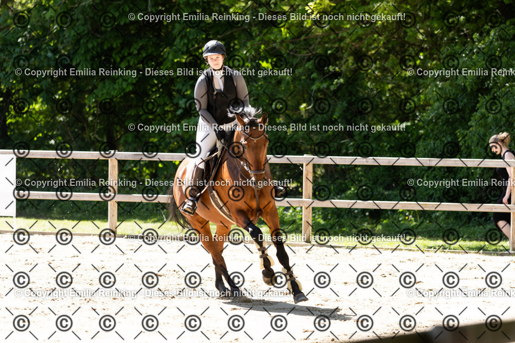 CL5A4695 | Emilia Reinking Fotografie - Realisiert mit Pictrs.com